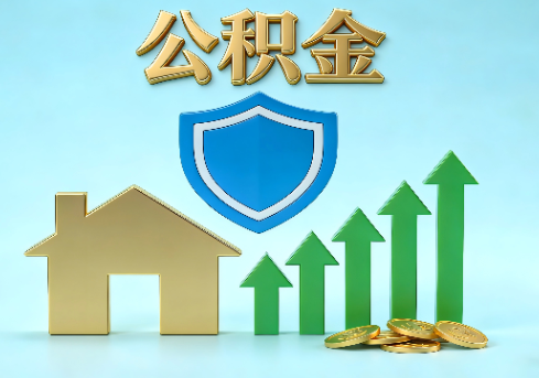 阿拉善当前住房公积金提取条件分类指南与政策趋势